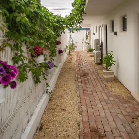 招待所 The Moon 4*