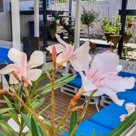 The Moon Guest house 4*