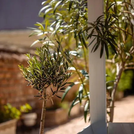 The Moon Guest house 4*